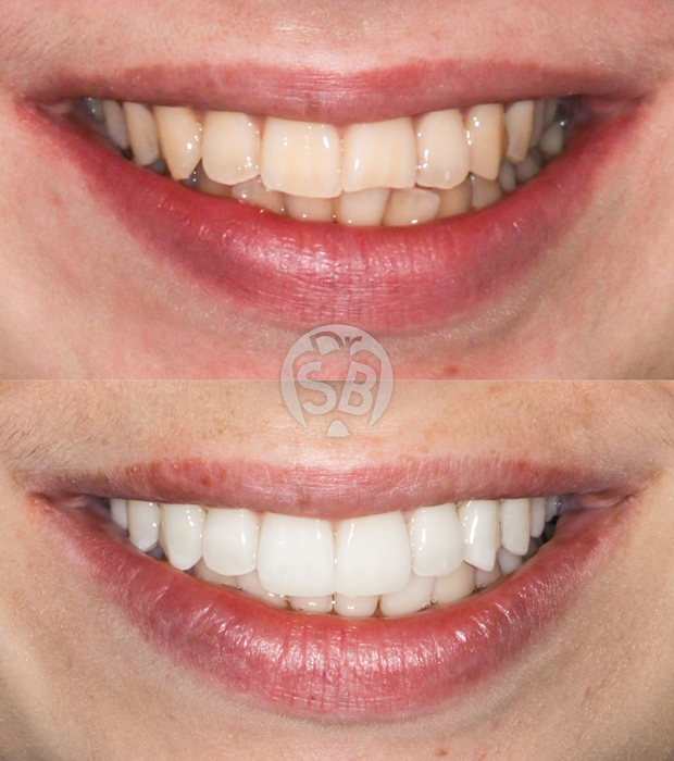 Dr Sara Belo's Work